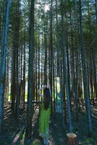 麗江秋冬必衝!阿美澤把浪漫焊在雪山