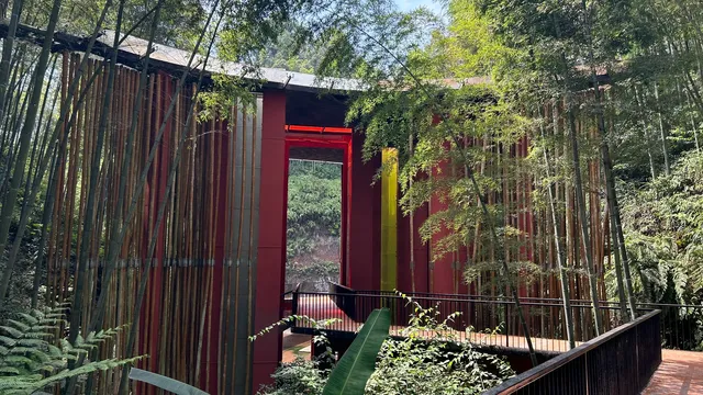 赤水竹海國家森林公園 赤水竹海國家森林公園