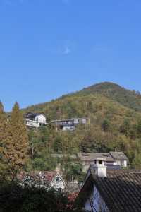 秋天帶娃住進莫干山，被美景治癒了！