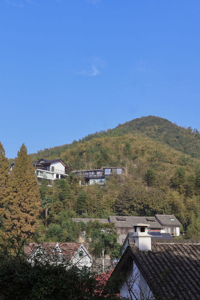秋天帶娃住進莫干山，被美景治癒了！