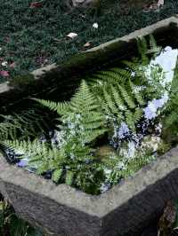 一秒穿越千年古庭院