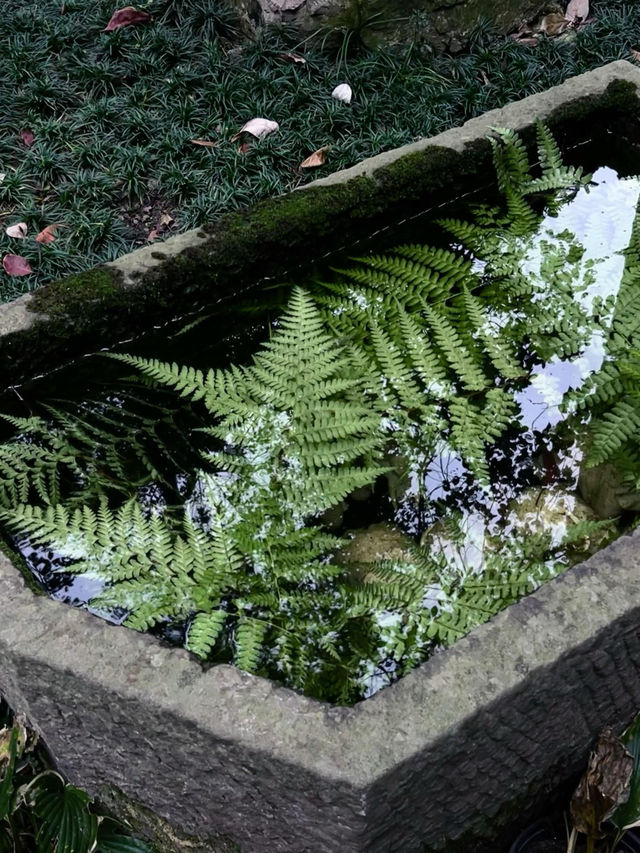 一秒穿越千年古庭院