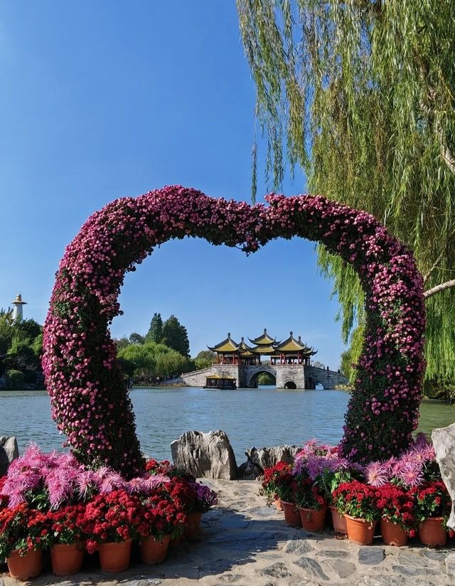 揚州賞菊指南｜滿城盡帶黃金甲！這3個地方美到心巴上