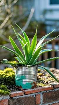 黃岡4天小眾玩法