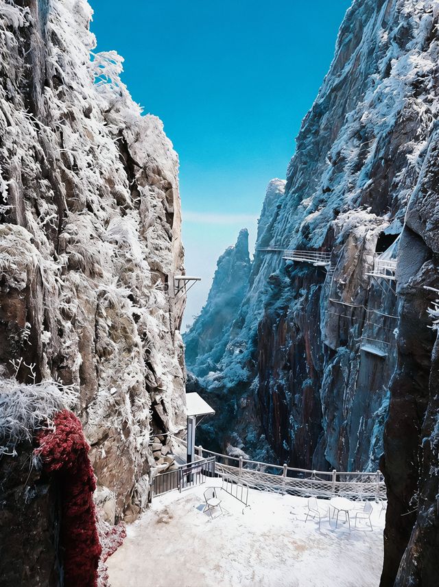 【莽山冬季仙境｜2天1夜霧淞溫泉全攻略！
