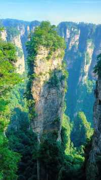 張家界 + 天門山 + 鳳凰古城 5 天 4 晚私人定製小包團（4-7 人）全程純玩無自費無購物 詳細行程與報價（不含餐）