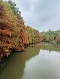 鐘山景區一日遊攻略 反方向路線避開人流