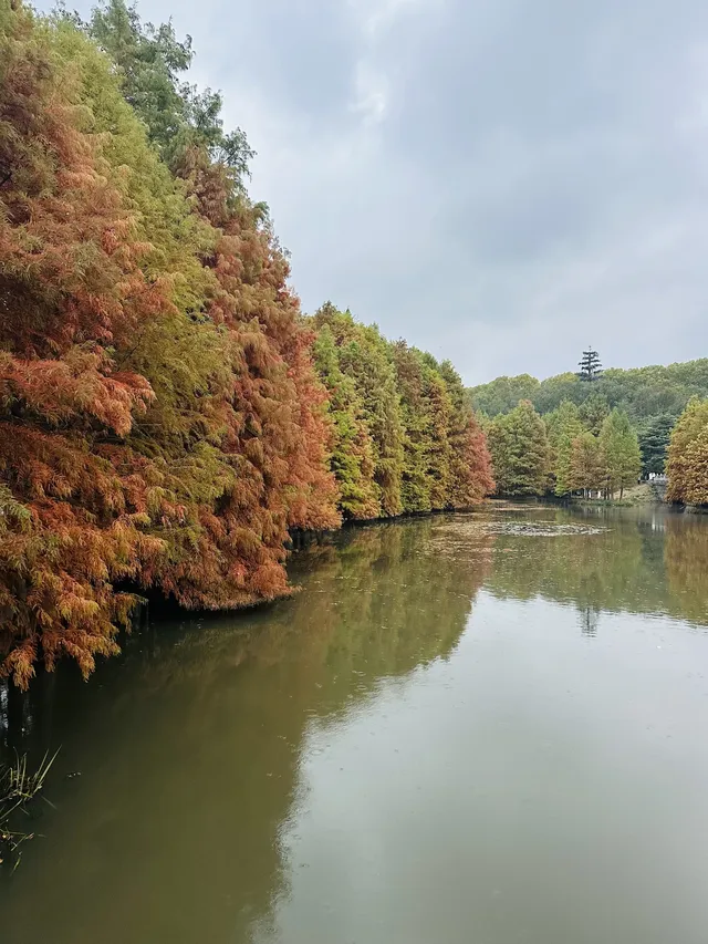 鐘山景區一日遊攻略 反方向路線避開人流