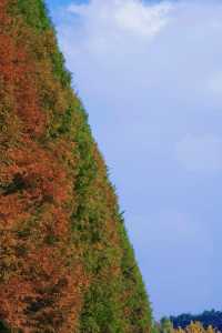 成都市區免費公園 | 升仙湖Citywalk