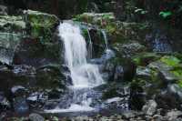 千島湖紅山谷免門票活動