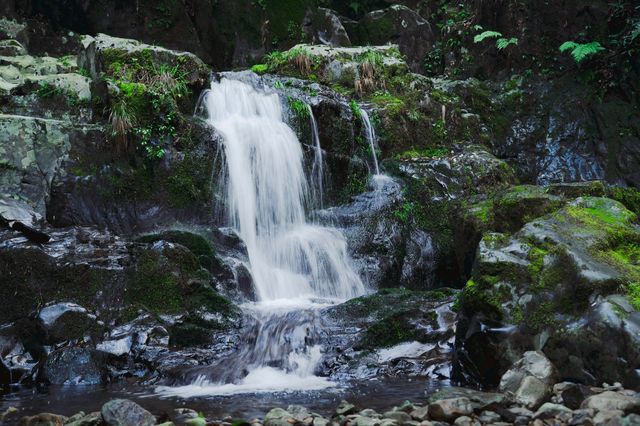千島湖紅山谷免門票活動