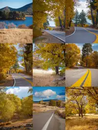 “南加無秋？”我不這麼認為喔