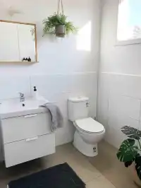 墨爾本周邊1.5h果然最美的地方都是免費的