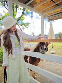 廣州版阿那亞！冬日繁華+牛羊牧場太治癒！