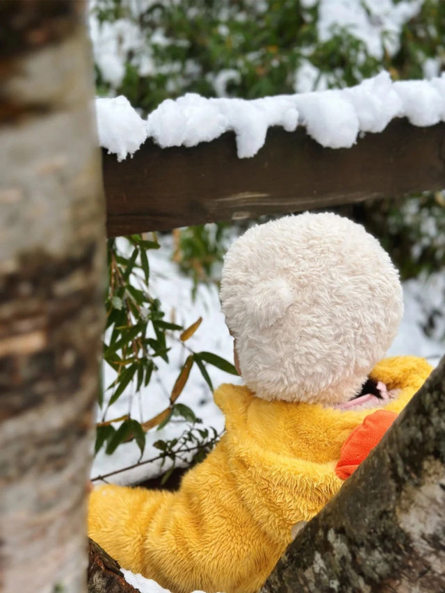 西嶺雪山帶娃追雪成功,小月齡也可衝! 西嶺雪山帶娃追雪成功,小月齡也可衝!