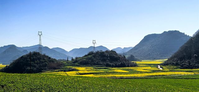 峰叢花田醉我心