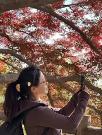 莫干山的正確打開方式