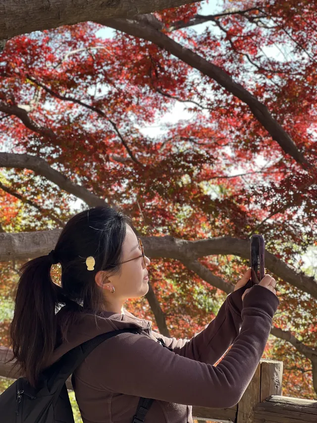 莫干山的正確打開方式 莫干山的正確打開方式