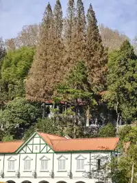 莫干山太美了 好棒完成人生第一次徒步