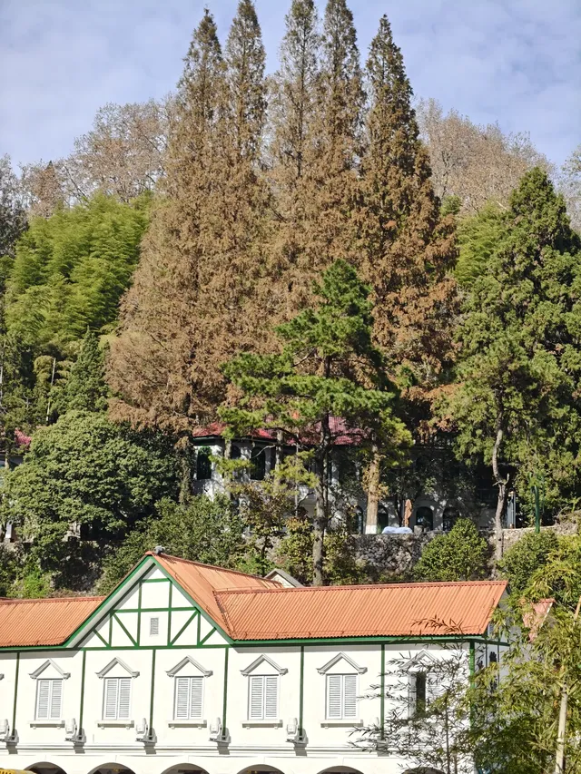 莫干山太美了 好棒完成人生第一次徒步 莫干山太美了 好棒完成人生第一次徒步