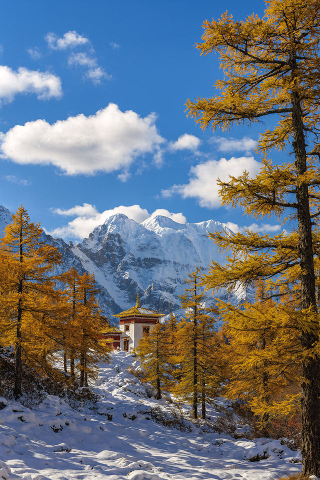 被狠狠種草!稻城亞丁的秋冬氛圍感絕了 被狠狠種草!稻城亞丁的秋冬氛圍感絕了