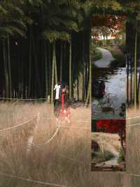 金色的粉黛是冬季的明信片