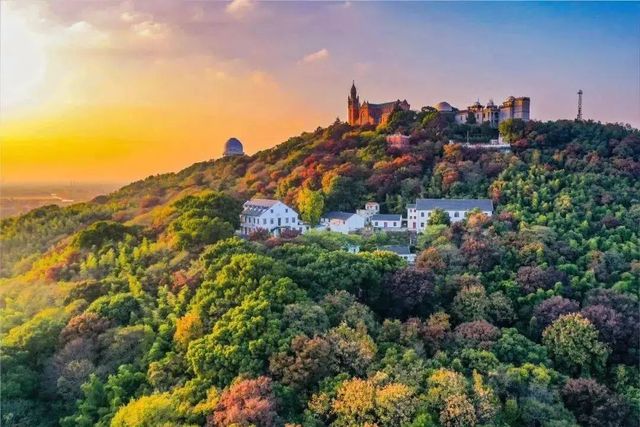 【上海松江4天3晚】人均2K住園林民宿！穿越唐宋明清寶藏攻略