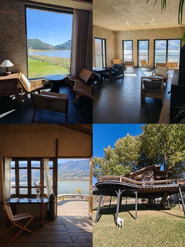 麗江的阿勒泰 文海村這家咖啡館一定要去❗️ 麗江的阿勒泰 文海村這家咖啡館一定要去❗️