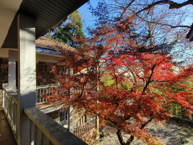 莫干山紅葉美到極致