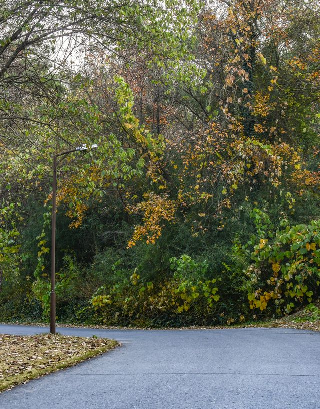 南京這個低調的度假天堂週末避開人潮就衝這 南京這個低調的度假天堂週末避開人潮就衝這
