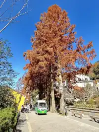 一個人旅行第一站 - 九華山
