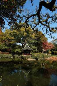 不愧為上海五大園林,驚嘆老祖宗的審美!