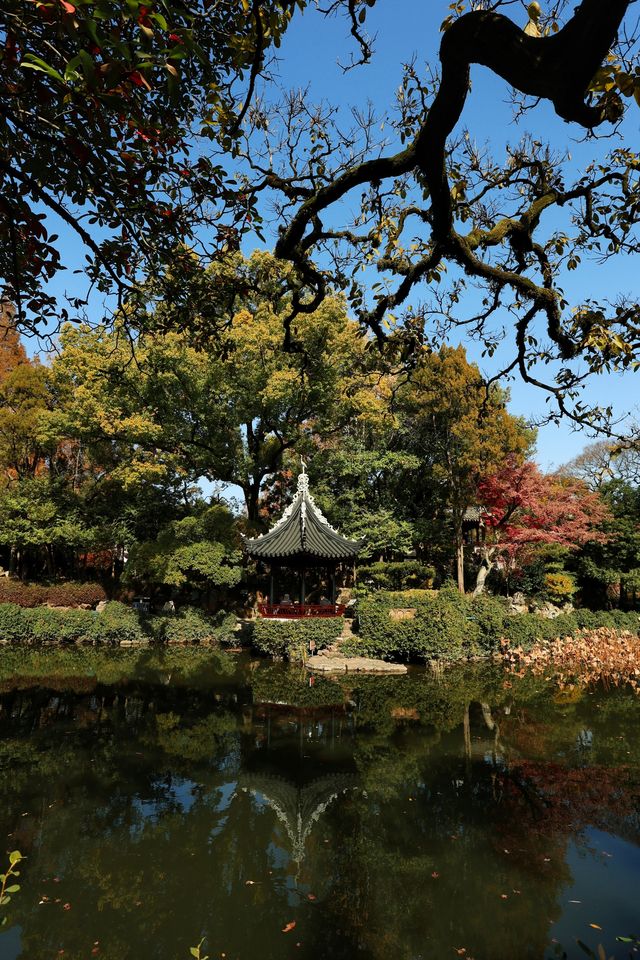 不愧為上海五大園林,驚嘆老祖宗的審美! 不愧為上海五大園林,驚嘆老祖宗的審美!