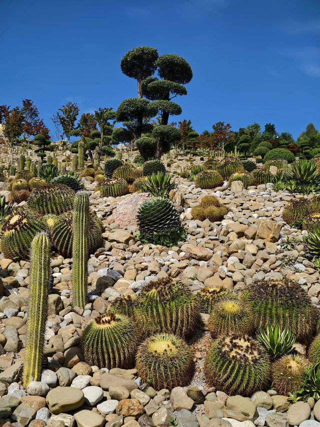 冬天沒計劃快來紅河等地治癒系旅行正當時 冬天沒計劃快來紅河等地治癒系旅行正當時