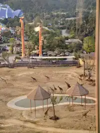 在清遠長隆過生日太!!!快樂啦!!