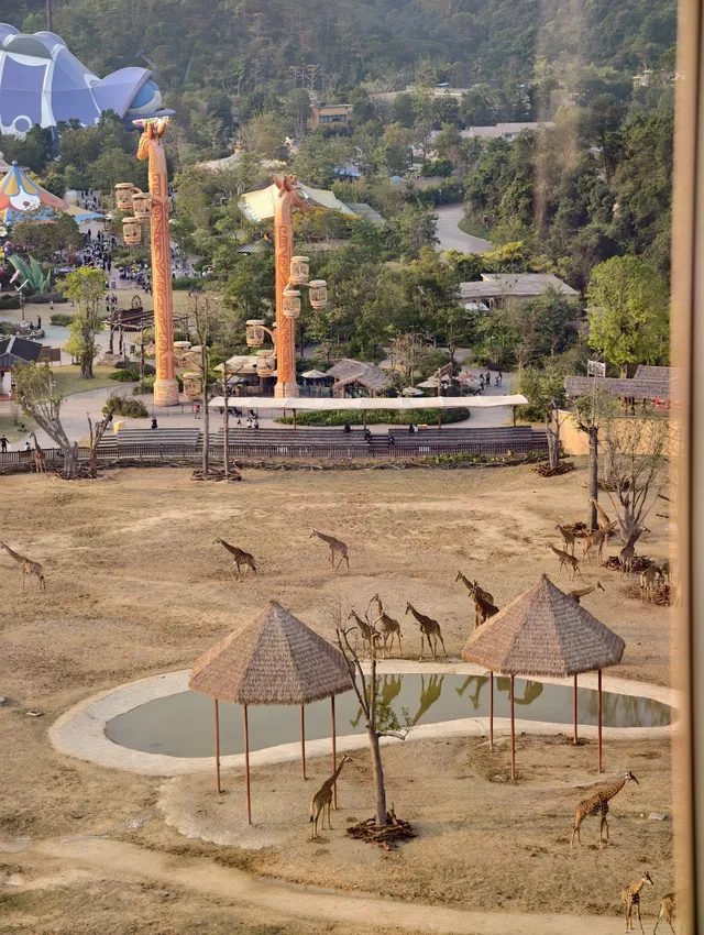 在清遠長隆過生日太!!!快樂啦!! 在清遠長隆過生日太!!!快樂啦!!