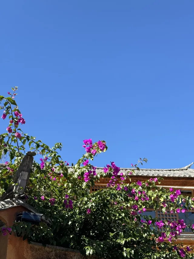 孕期旅行雲南｜沙溪古鎮、麗江 悠閒假期～