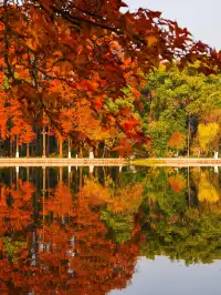 12.3的東湖殺瘋了!分享一條油畫感騎行路線