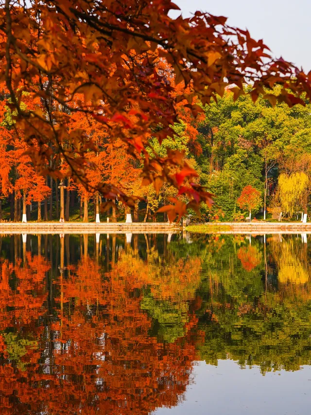 12.3的東湖殺瘋了!分享一條油畫感騎行路線 12.3的東湖殺瘋了!分享一條油畫感騎行路線