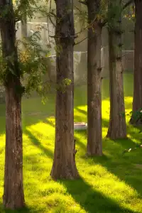 可以從晨霧中醒來的山居生活