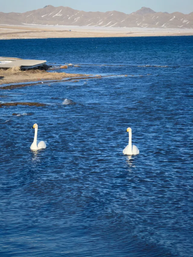阿勒泰/賽里木湖旅遊完結