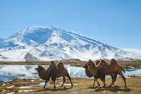 7天玩轉呼倫貝爾-興安盟不踩雷攻略