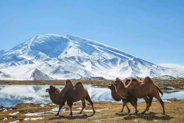 7天玩轉呼倫貝爾-興安盟不踩雷攻略 7天玩轉呼倫貝爾-興安盟不踩雷攻略