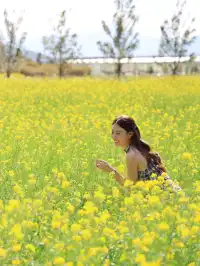 麗江旅遊|詳細打卡攻略|2D3N