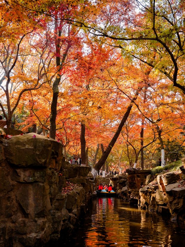 虞山秋日限定常熟紅葉美翻了丨附機位