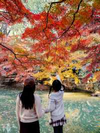 虞山秋日限定常熟紅葉美翻了丨附機位