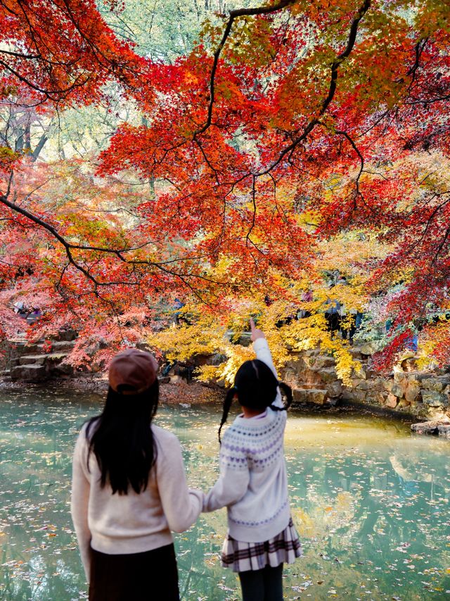 虞山秋日限定常熟紅葉美翻了丨附機位