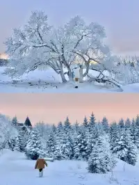 長白山雪嶺聖誕樹林裡的夢幻日落(附攻略)