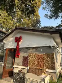 好天氣在玄武湖，度過無所事事的下午