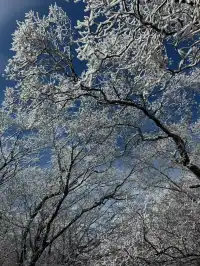 12月及1月來郴州莽山的！存下吧超全的！